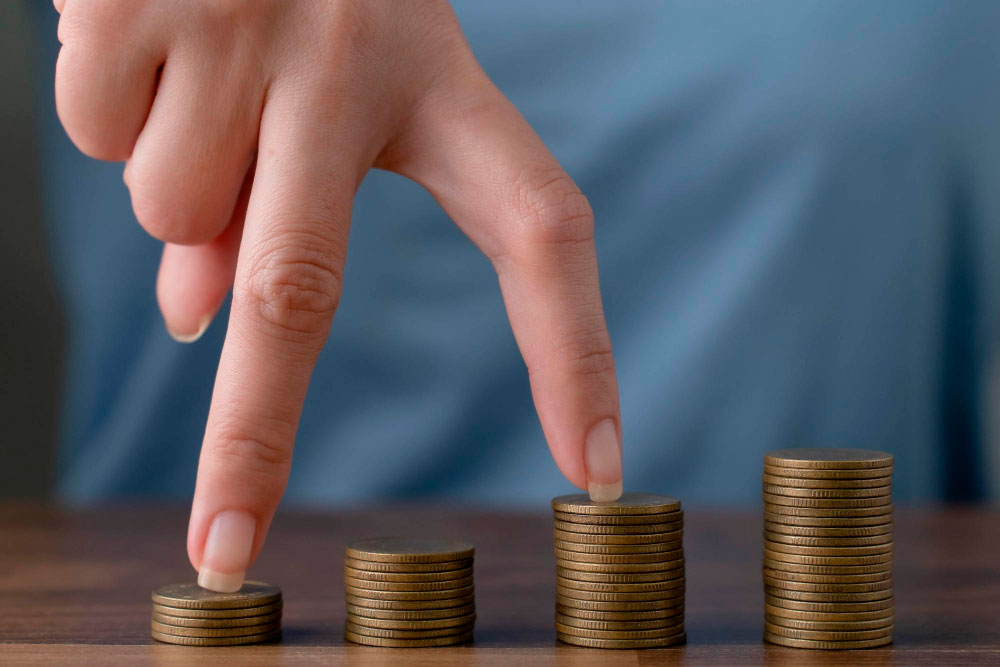 EGAB-ren irizpena diru-sarrerak bermatzeko errentaren erregegelamendua onartzen duen Dekretu-proiektuari buruz