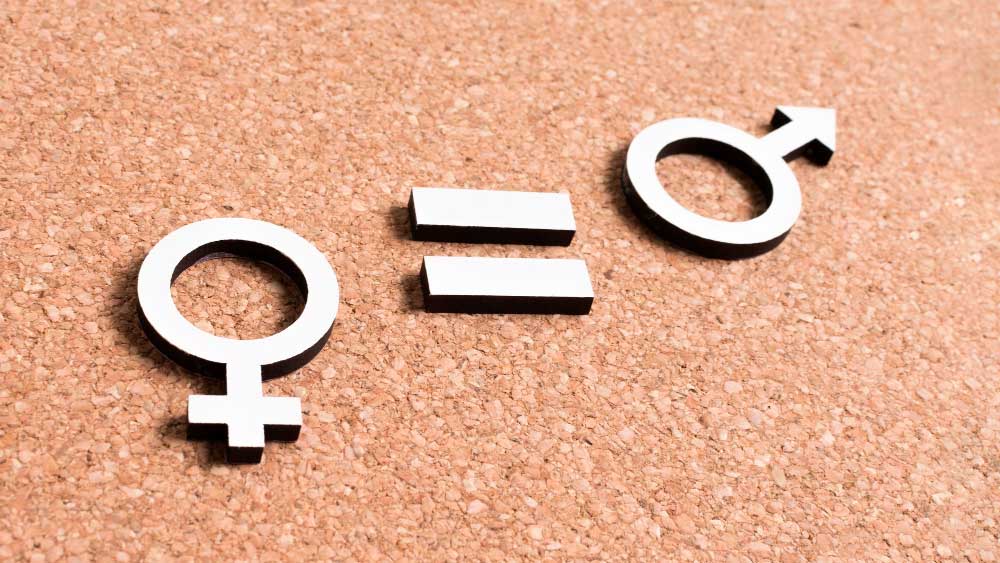 EAE-ko Emakumeen eta Gizonen Berdintasunerako 2030 Estrategiari buruzko EGABen irizpena