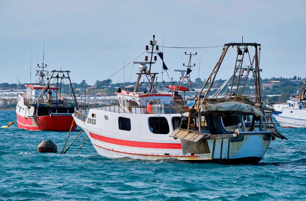 EGAB-en irizpena eusko jaurlaritzaren arrantza-ikuskaritzaren zerbitzuaren gaineko dekretu-proiektuari buruz