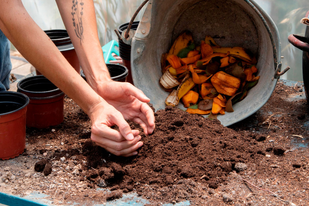 EGABak komunitate- eta etxe-konpostajea arautzen duen dekretu-proiektuari buruzko irizpena eman du