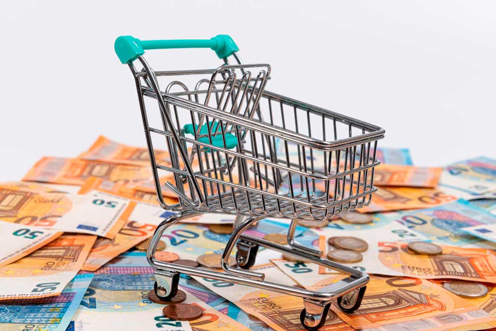 Euskadiko Ekonomia eta Gizarte Arazoetarako Batzordearen irizpena “Kontsumitzaileen eta erabiltzaileen Estatutuaren Lege aurreproiektuari buruz