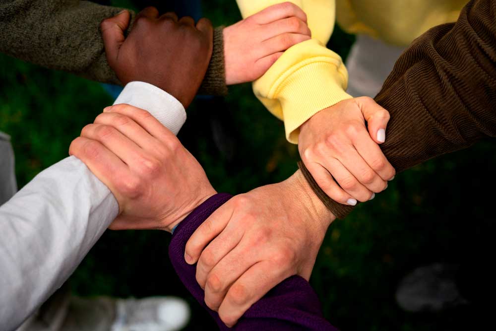 EGAB-en Irizpena, Lankidetzarako eta Elkartasunerako Euskal Lege-aurreproiektuari buruz