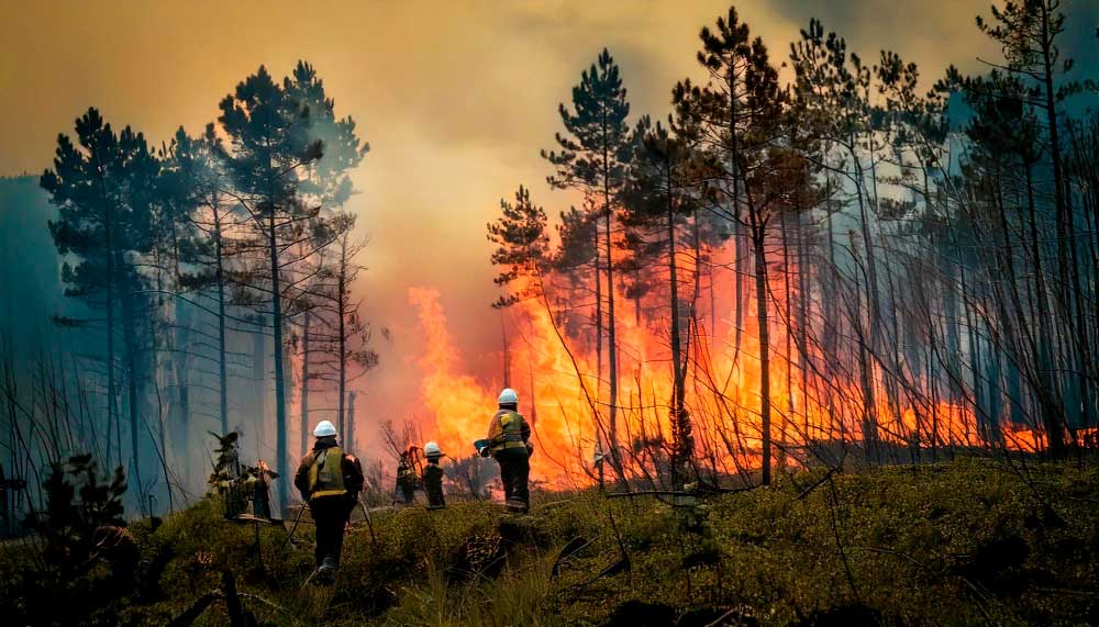 Euskadiko EGAB-ek suteen prebentzio eta itzalketako eta salbamenduko zerbitzuen Lege-aurreproiektuari buruzko irizpena eman du