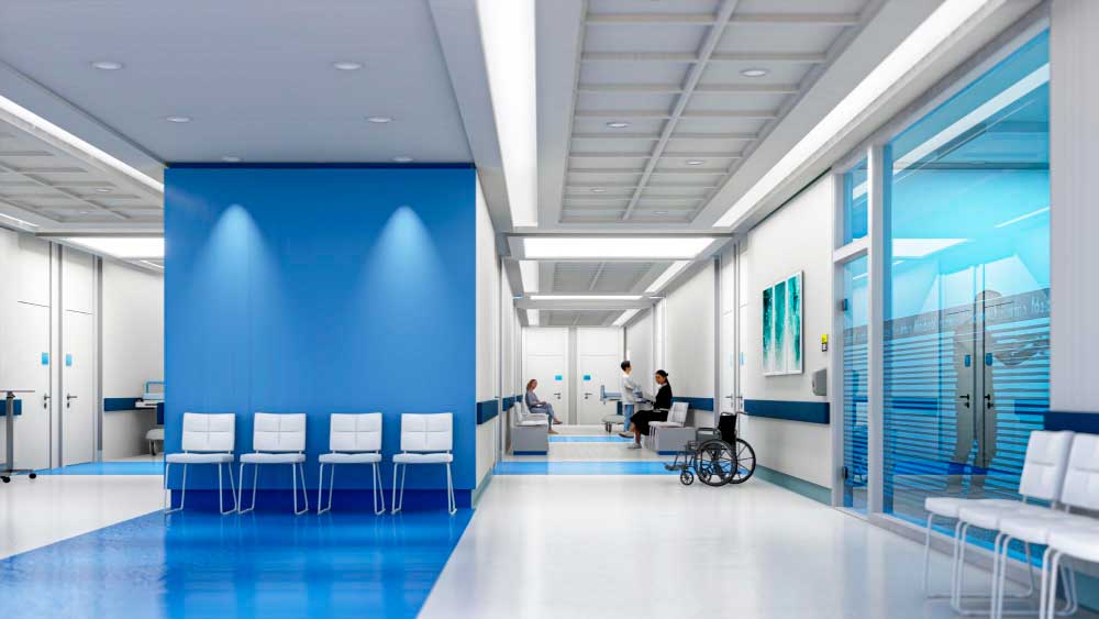 Euskadiko gobernantza soziosanitarioaren Dekretu-proiektuari buruzko EGABen irizpena