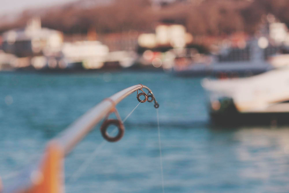 EGAB-en irizpena, Arrantza-Turismoari eta arrantza-erakustaldiei buruzko D.P.ari buruzkoa