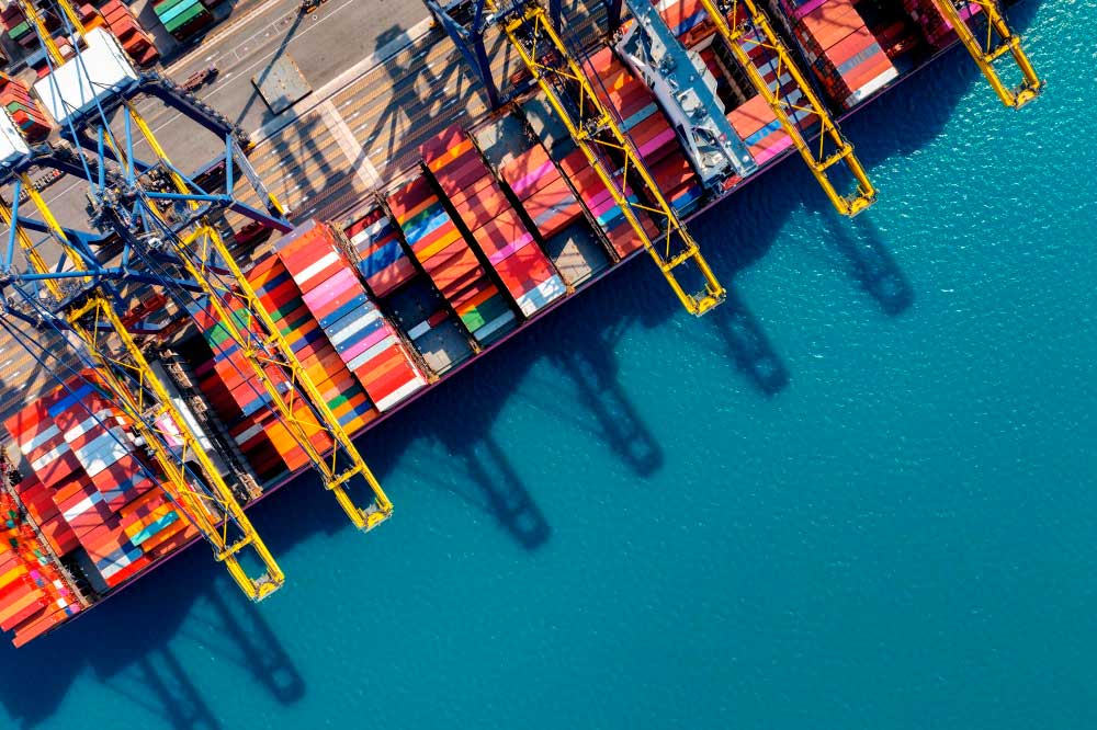 Portuetako Udal Kontseiluak sortzeko Dekretu-proiektuari buruzko EGABen Irizpena